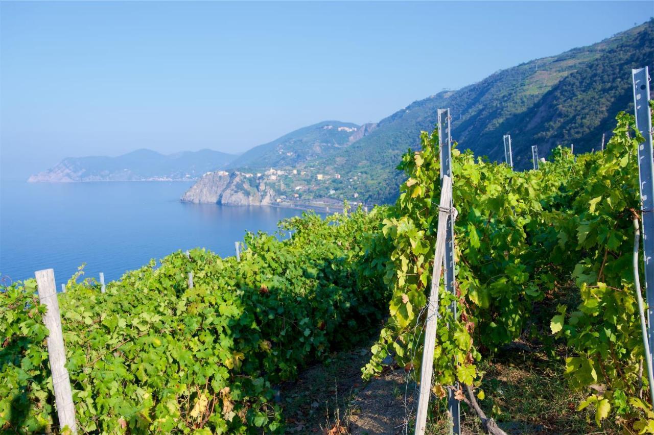 La Tua Casa Vicino A Portovenere Villa Le Grazie  Exterior foto